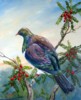 Kereru in Miro by Sue Graham